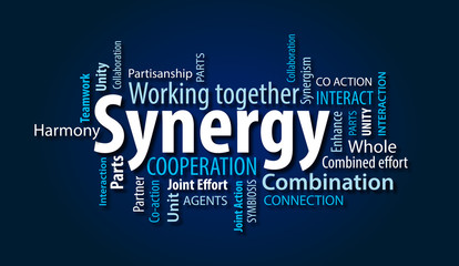 synergy21-organization-synergy-shared-ownership-and-collaboration-in-agile-teams.jpeg